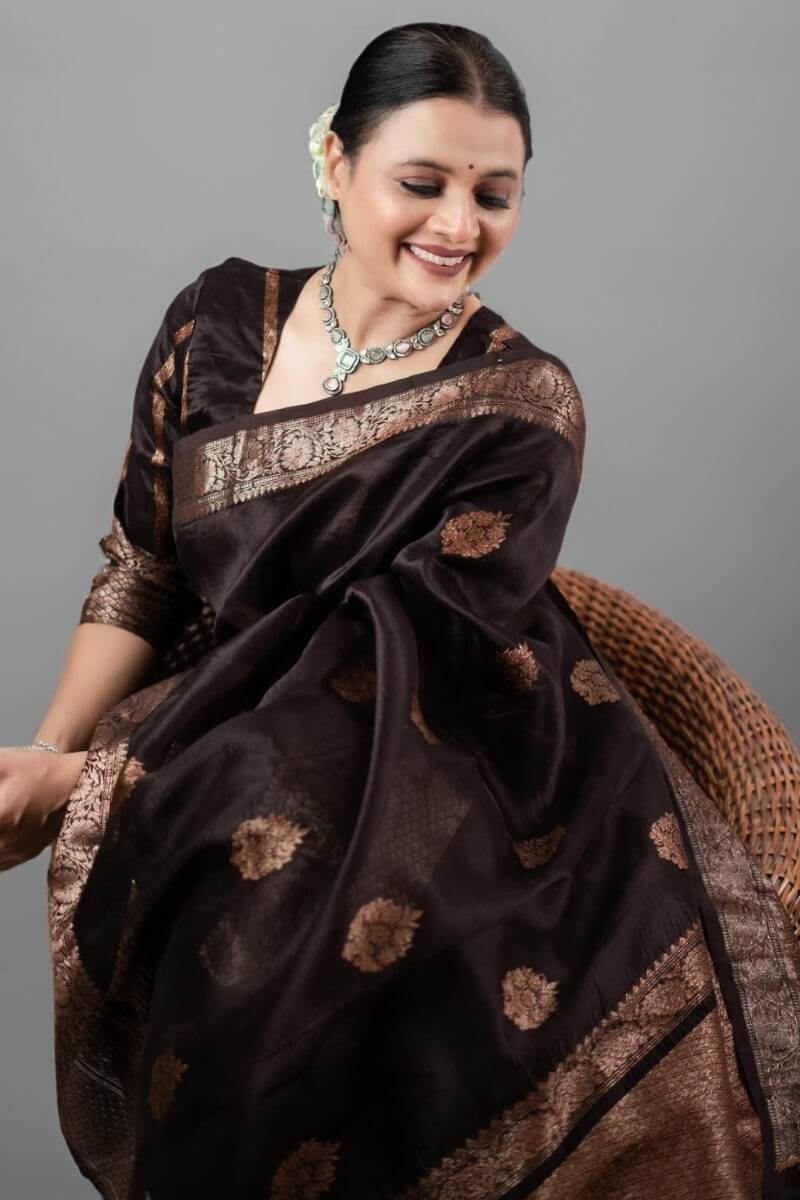 Ravishing Brown Soft Silk Saree With Designer Blouse Piece