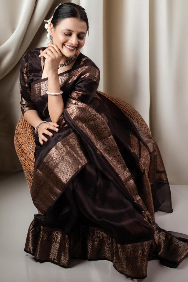 Ravishing Brown Soft Silk Saree With Designer Blouse Piece