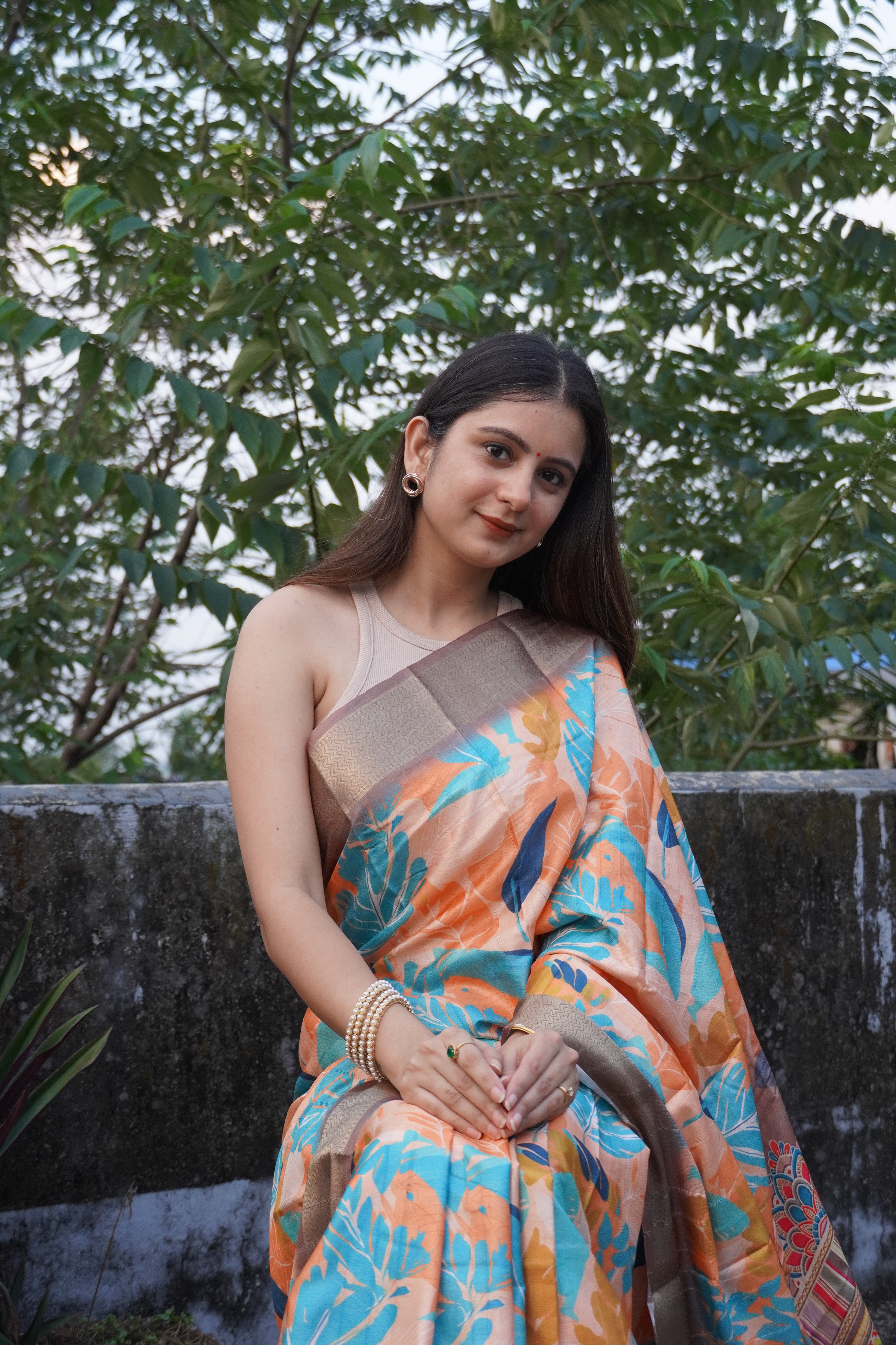 Light Brown Printed Saree